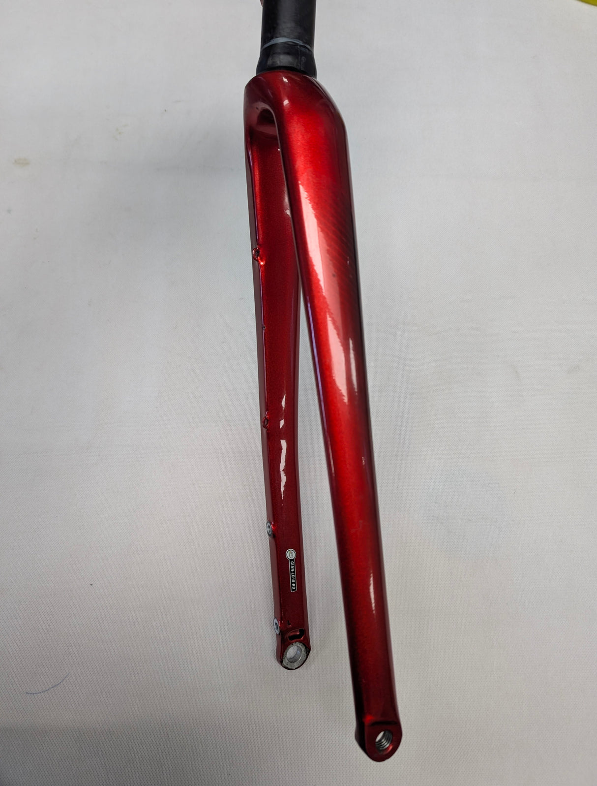Fork Liv Langma Advanced Pro Disc (New, Take-off)