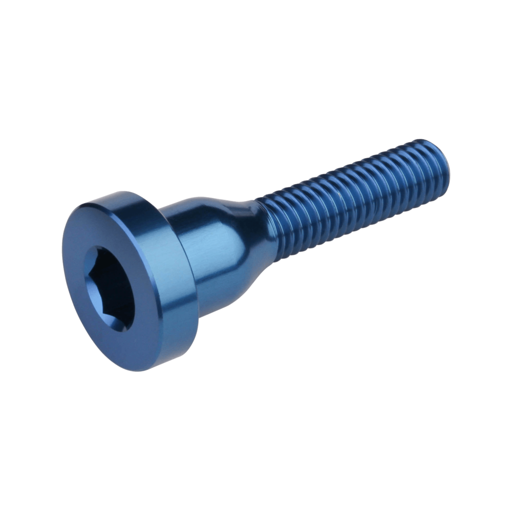 Burgtec Stem Top Cap Bolt Silver