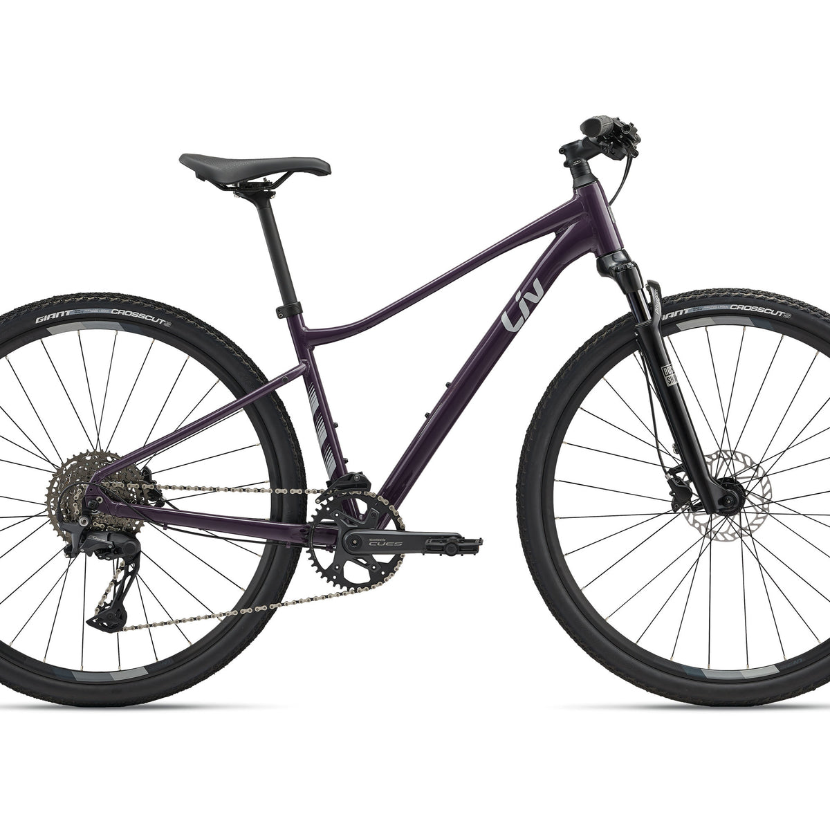 Liv Rove (2025) Womens Hybrid Bike Ivanhoe Cycles