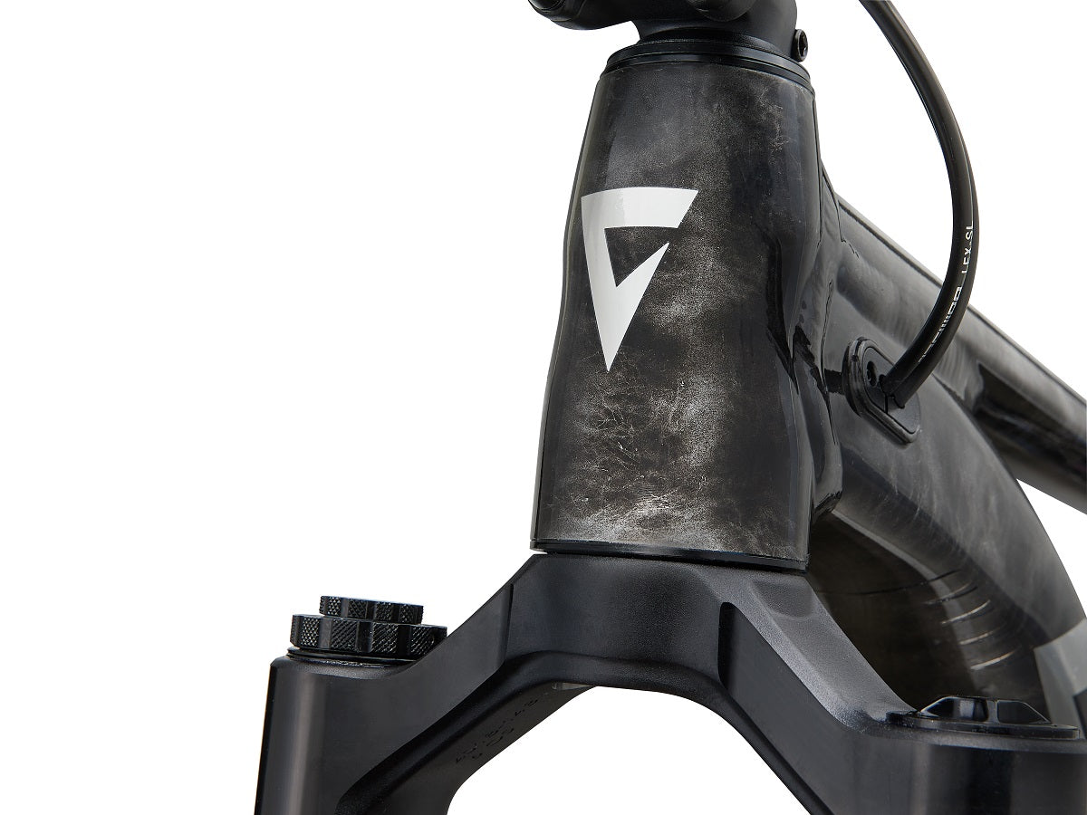 Giant Reign SE (2026)