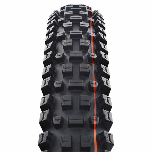 Tyre 29 x 2.50 Schwalbe Albert Radial Gravity Pro Soft TLR Folding