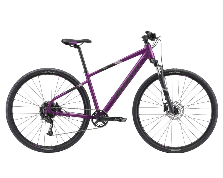 Avanti X-Plorer MS 2W