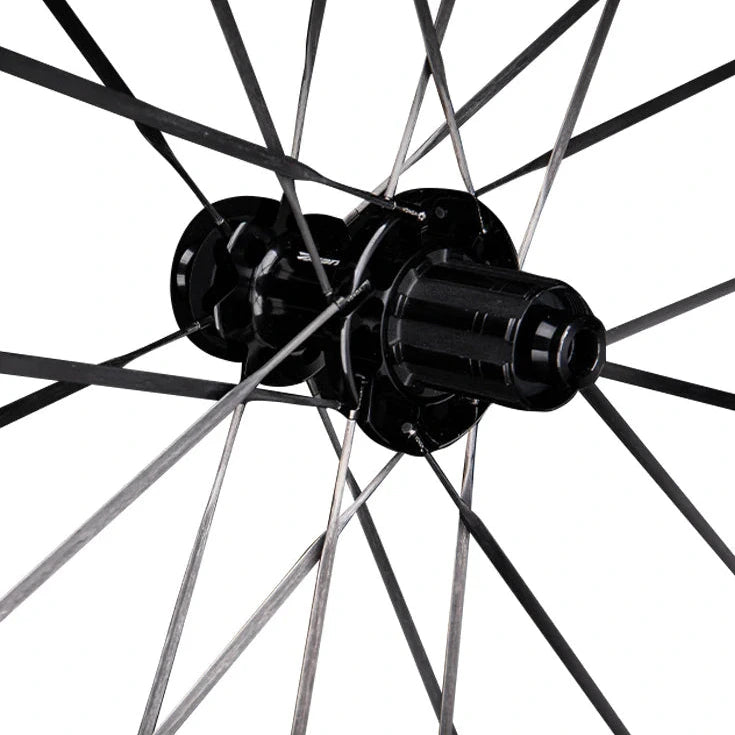 Branta C50 carbon wheels showing rear hubs and carbon spokes