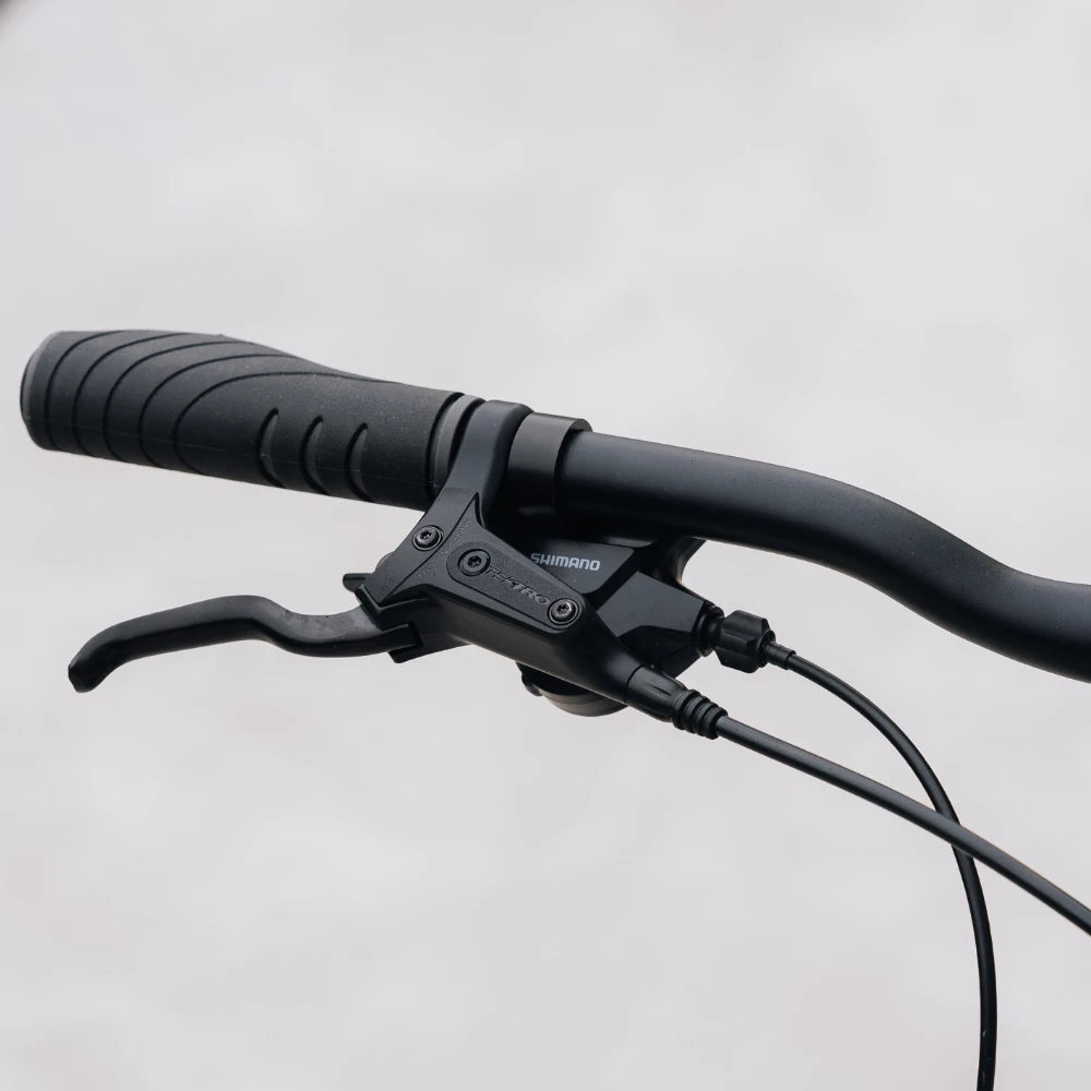 Jamis DXT A2 Step-Through