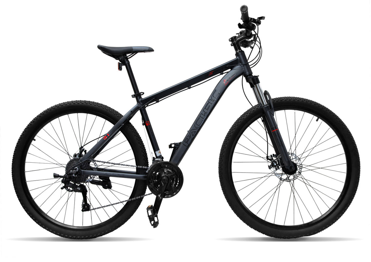 schwinn pacific bicycle Pacific Sport 29" Mountain Bike
