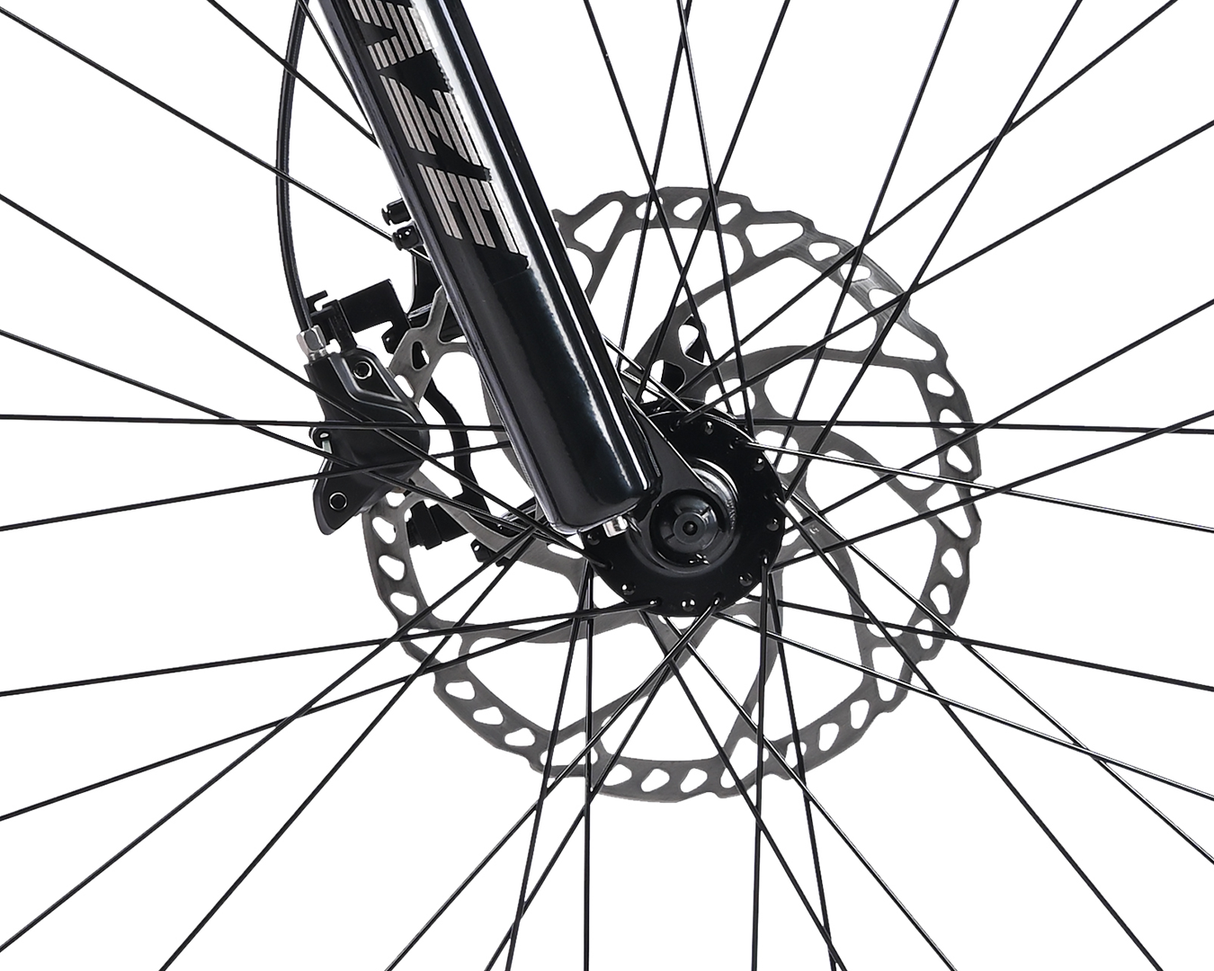 Velectrix Ascent X