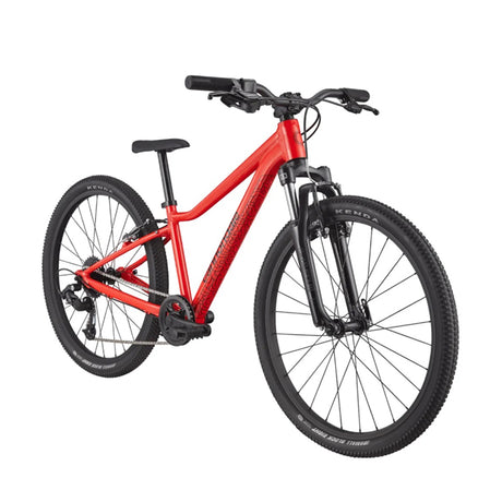 26" Kids Bikes (Ages 10+)