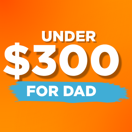 Gifts under $300 for dad