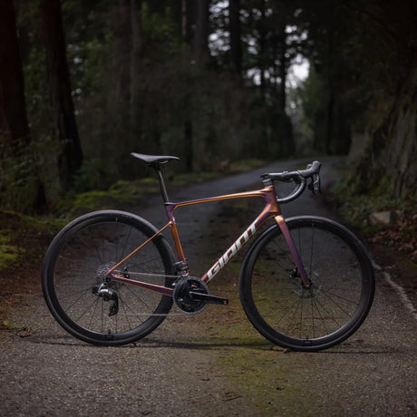 Giant road bikes collection includes the Giant Defy, Giant TCR, Giant Contend AR and Giant Propel