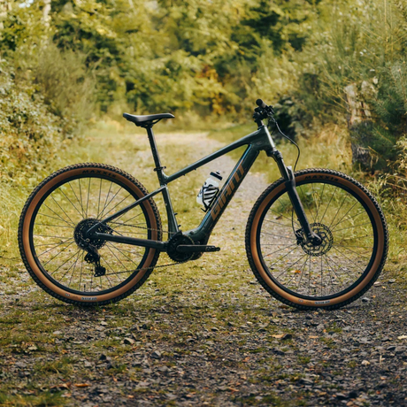 electric mountain bikes
