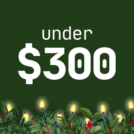 Gifts under $300