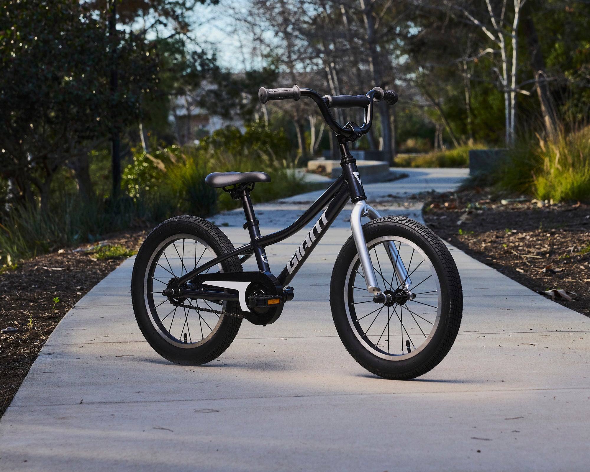 Giant Animator 16 (2024) | 16 inch Bikes | Ivanhoe Cycles