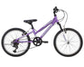 20" Radius Ponyridge AL