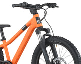 20" Scott Roxter 200