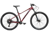 Haro Double Peak Comp (2023)