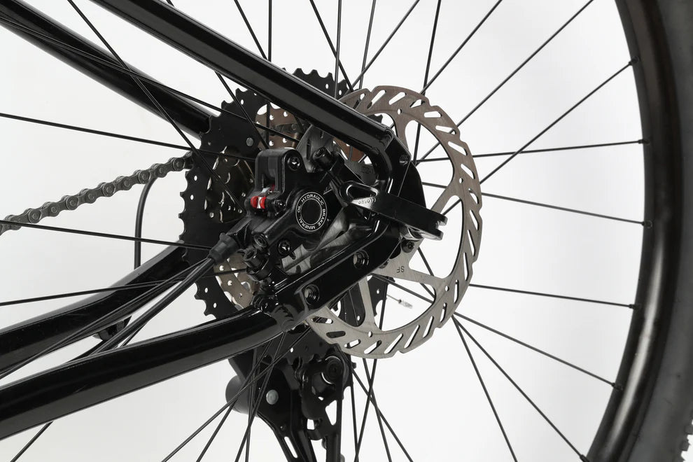 Haro Flightline 1 29 2024 Mountain Bike Ivanhoe Cycles