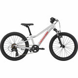 20" Cannondale Kids Trail 20 (2026) silver