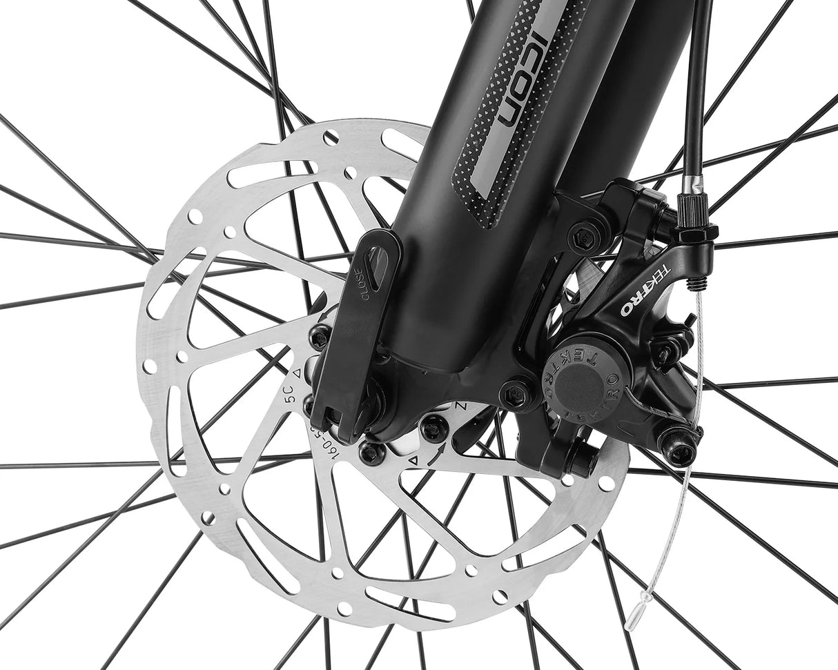 24" Icon Phantom Boys