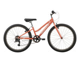 24" Malvern Star Roxy (2025)