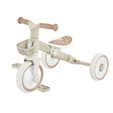 Globber Learning Trike 2in1 Plus Ecologic