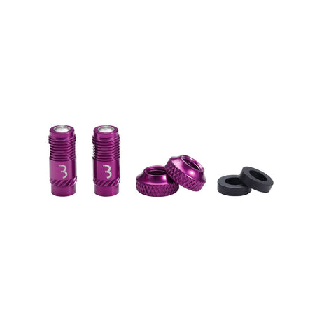 BBB Corecap Valve Caps BTI-165