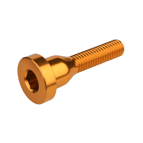 Burgtec Stem Top Cap Bolt Silver