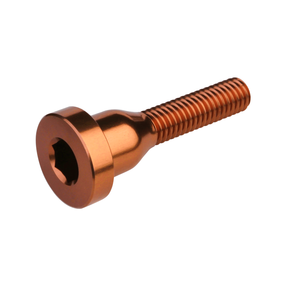 Burgtec Stem Top Cap Bolt Silver