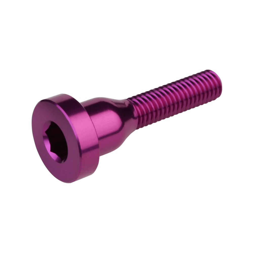 Burgtec Stem Top Cap Bolt Silver