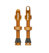 Hope Tubeless Valves Pair