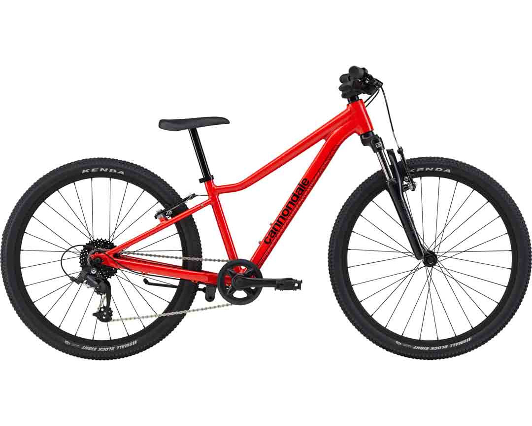 Cannondale Kids Trail 24 Bike (2025) | Ivanhoe Cycles