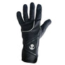 Chaptah Frosty II Winter Gloves