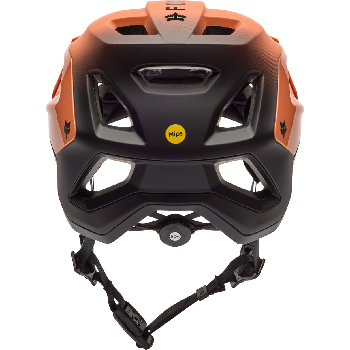 Fox Speedframe Pro Backfade Helmet (2025)
