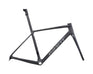 Giant TCR Advanced SL Frameset (2025) raw carbon