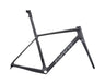 Giant TCR Advanced SL Frameset (2025) raw carbon