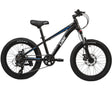 Link Viper 20" Boys Mountain Bike