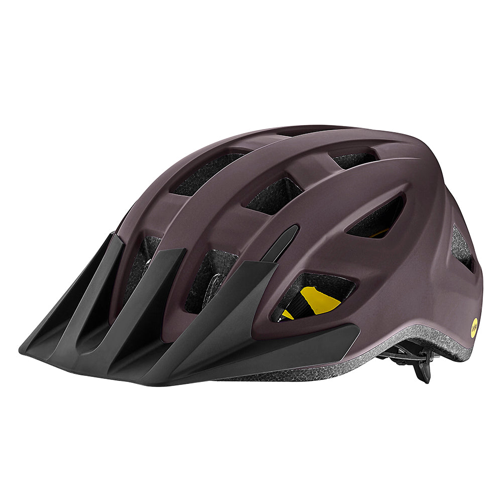 Liv Path MIPS Helmet