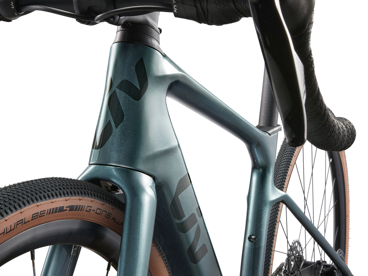 Liv Avail Advanced E+ Elite AR (2025)