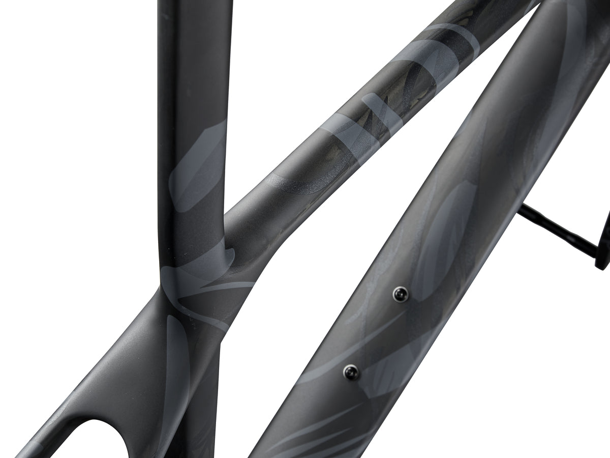 Giant TCR Advanced SL (2024) Frameset