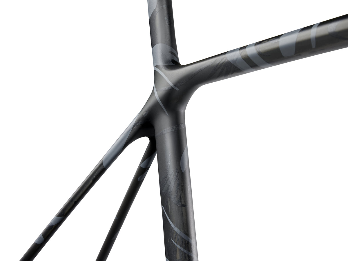 Giant TCR Advanced SL (2024) Frameset