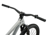26" Giant STP (2026)
