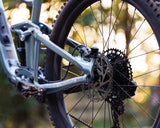 Liv Intrigue LT 2 (2023)