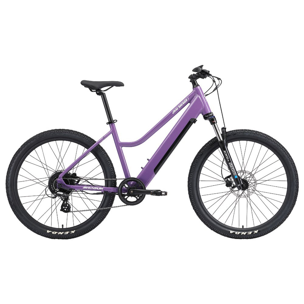 E-Bike Shogun eTrail Breaker 1 ST