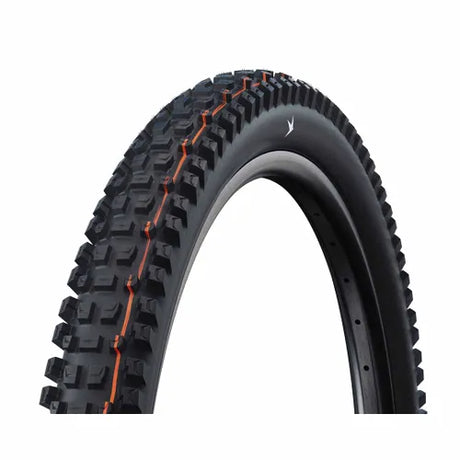 Tyre 29 x 2.50 Schwalbe Albert Radial Gravity Pro Soft TLR Folding