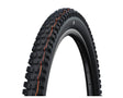 Schwalbe Albert Gravity Pro Radial Tyre
