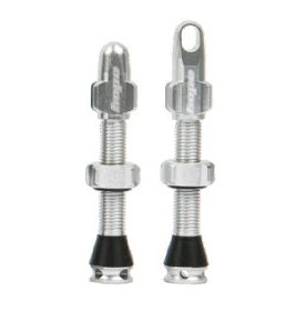 Hope Tubeless Valves Pair