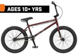 GT BK Team Signature 20" BMX