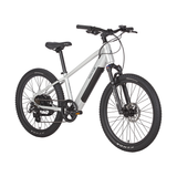 24" Velectrix Ascent