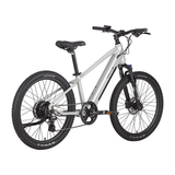 24" Velectrix Ascent