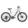 24" Velectrix Ascent