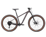 Avanti Hammer 2